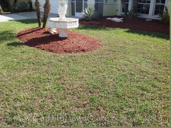 Mulch Bed Bonita Springs