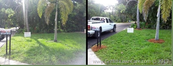 Before After Bonita Springs Lawn